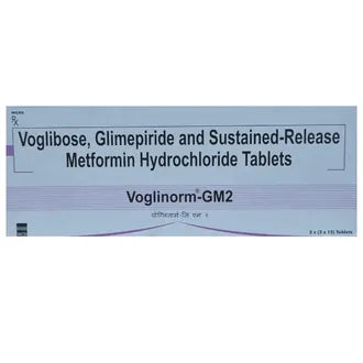 Voglinorm Gm 2 15