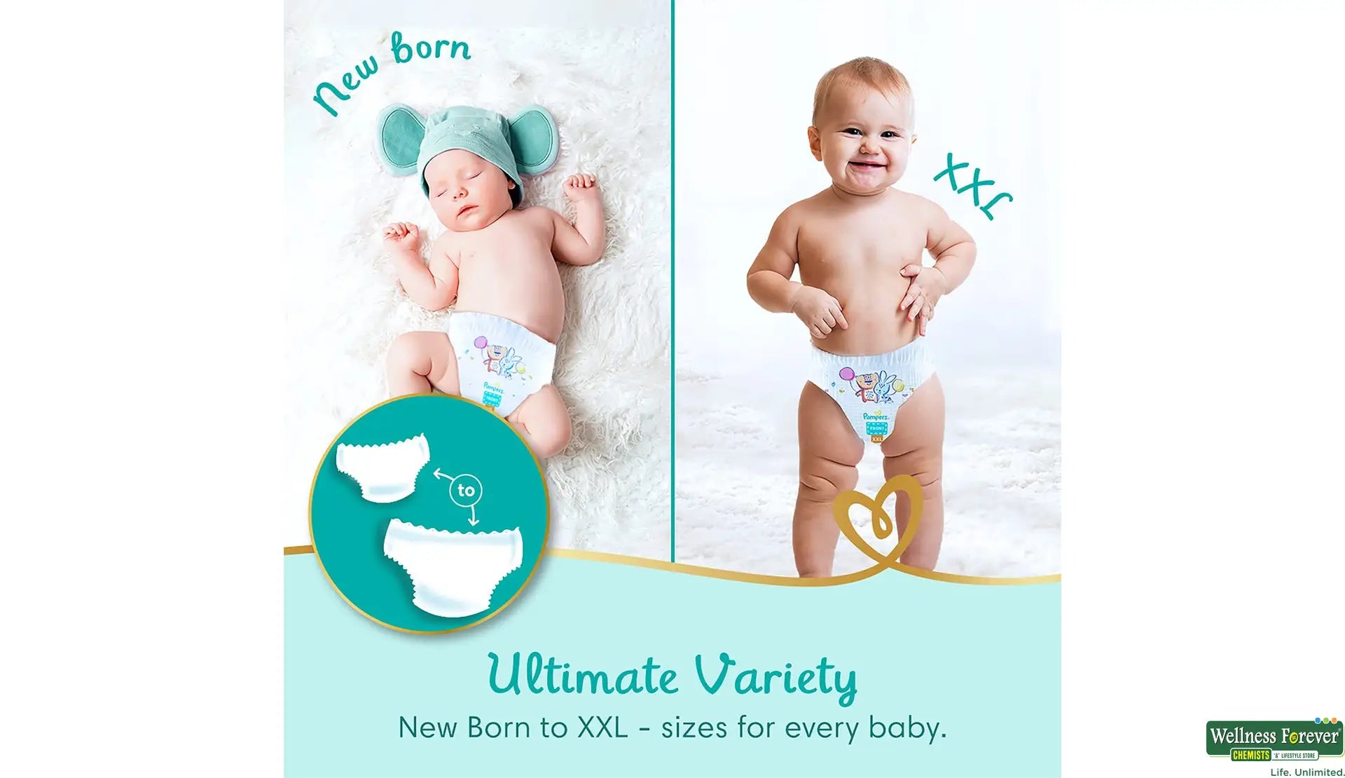 Pampers Premium Care, Size M, 16 Pants