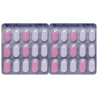Voglinorm Gm 1 15