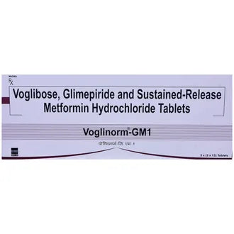 Voglinorm Gm 1 15