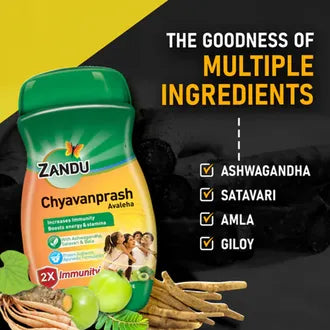Zandu Chyavanprash 900g
