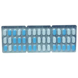 Voglinorm Gm 2 15